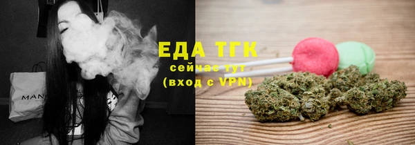 ГАЛЛЮЦИНОГЕННЫЕ ГРИБЫ Козловка