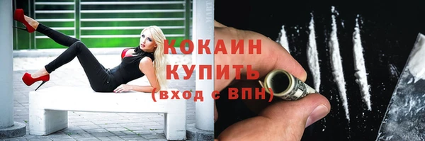 ГАЛЛЮЦИНОГЕННЫЕ ГРИБЫ Козловка