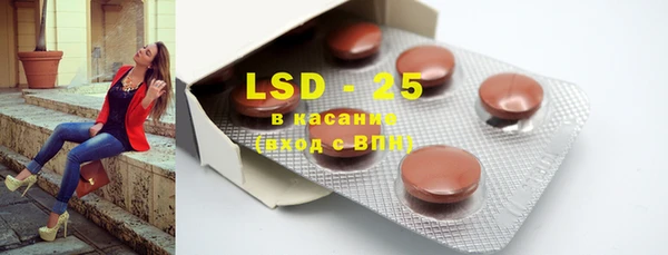 ГАЛЛЮЦИНОГЕННЫЕ ГРИБЫ Козловка