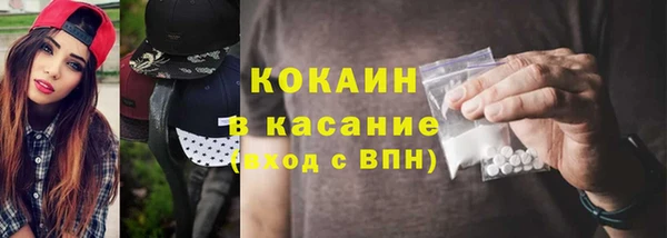 ГАЛЛЮЦИНОГЕННЫЕ ГРИБЫ Козловка
