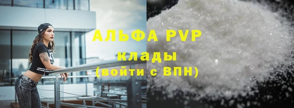 ГАЛЛЮЦИНОГЕННЫЕ ГРИБЫ Козловка