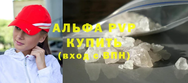 ГАЛЛЮЦИНОГЕННЫЕ ГРИБЫ Козловка