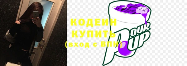 ГАЛЛЮЦИНОГЕННЫЕ ГРИБЫ Козловка