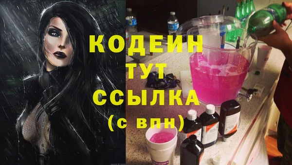 ГАЛЛЮЦИНОГЕННЫЕ ГРИБЫ Козловка