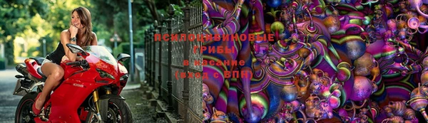 первитин Кодинск