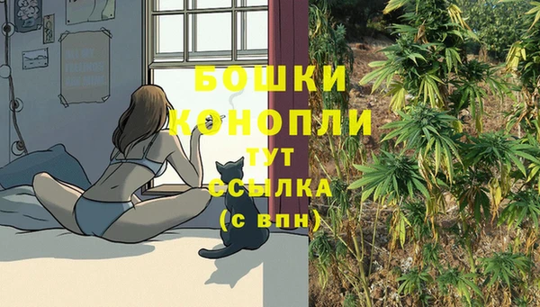 первитин Кодинск