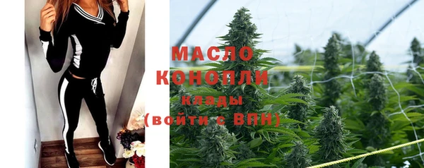ГАЛЛЮЦИНОГЕННЫЕ ГРИБЫ Козловка